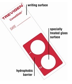 CometAssay® Kit (25X2 well slides)