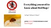 Learn about Bed Bugs