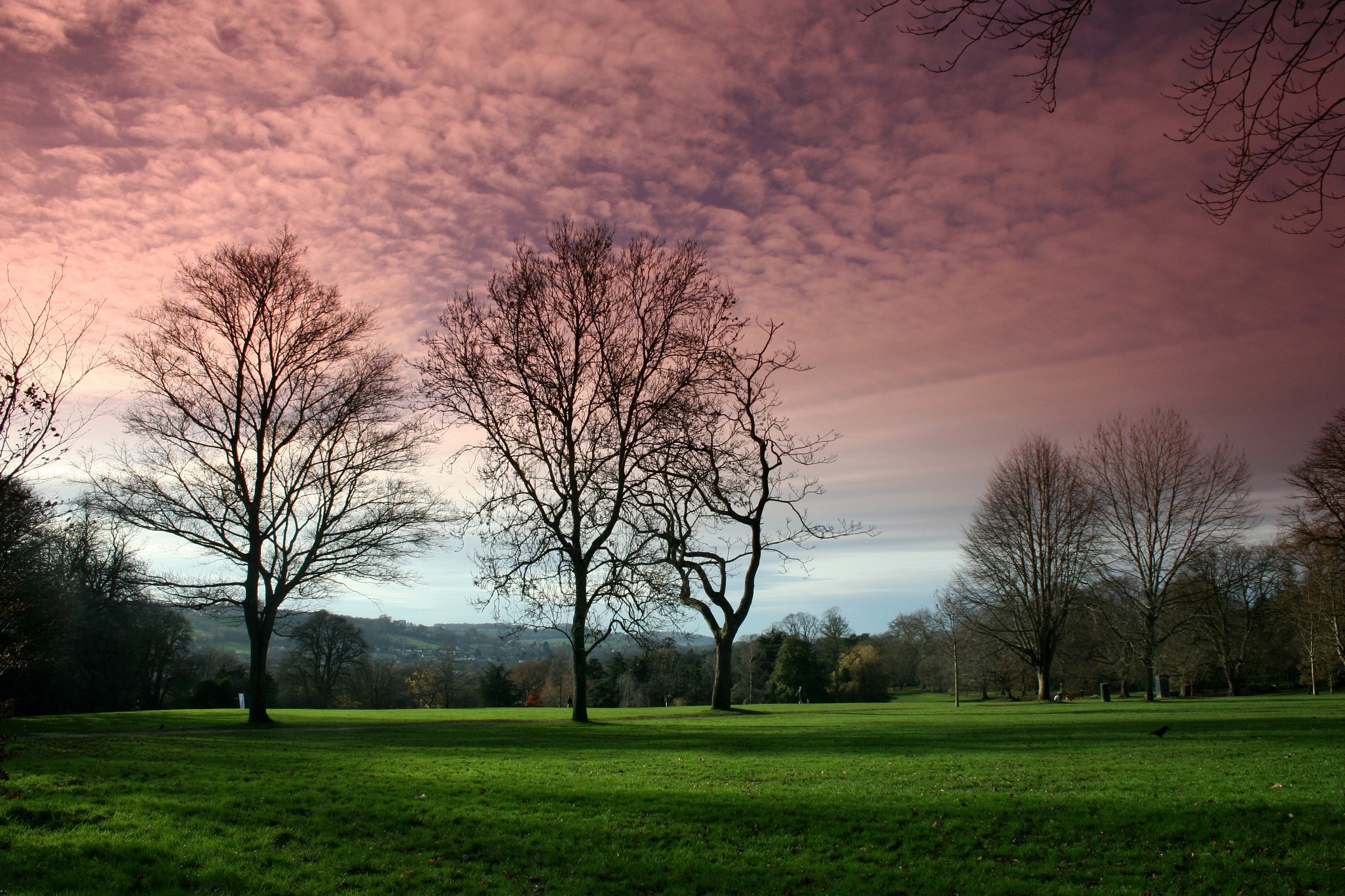 Victoria Park by Mark Blezard