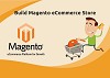 Build Magento eCommerce Store