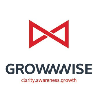 Digital Marketing Agency - Grow Wise