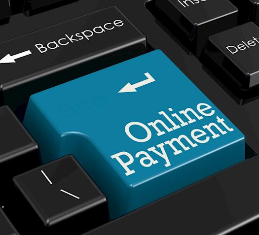Secure Payment Integration - Web portal development