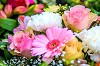 Send flowers to Delhi