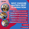 Expecting more from your pest control service?
