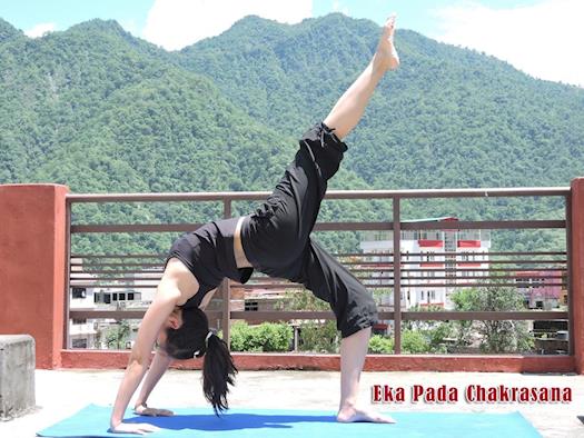 Yoga Teacher  Training rishikesh 