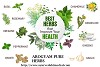 Best Herbs To Improve Health