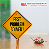 Insect Killer Services Pvt Ltd - Pest Control Jaipur 