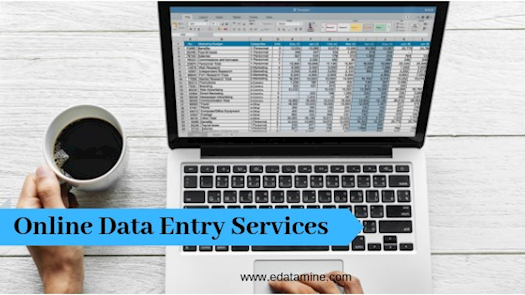 Online Data Entry Services Company