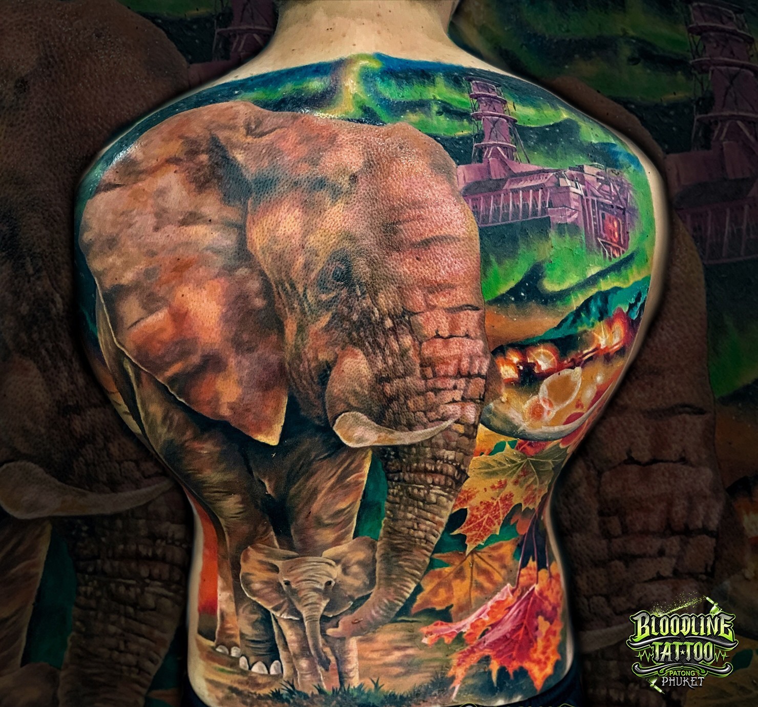 Fullback Colour Elephant Tattoo