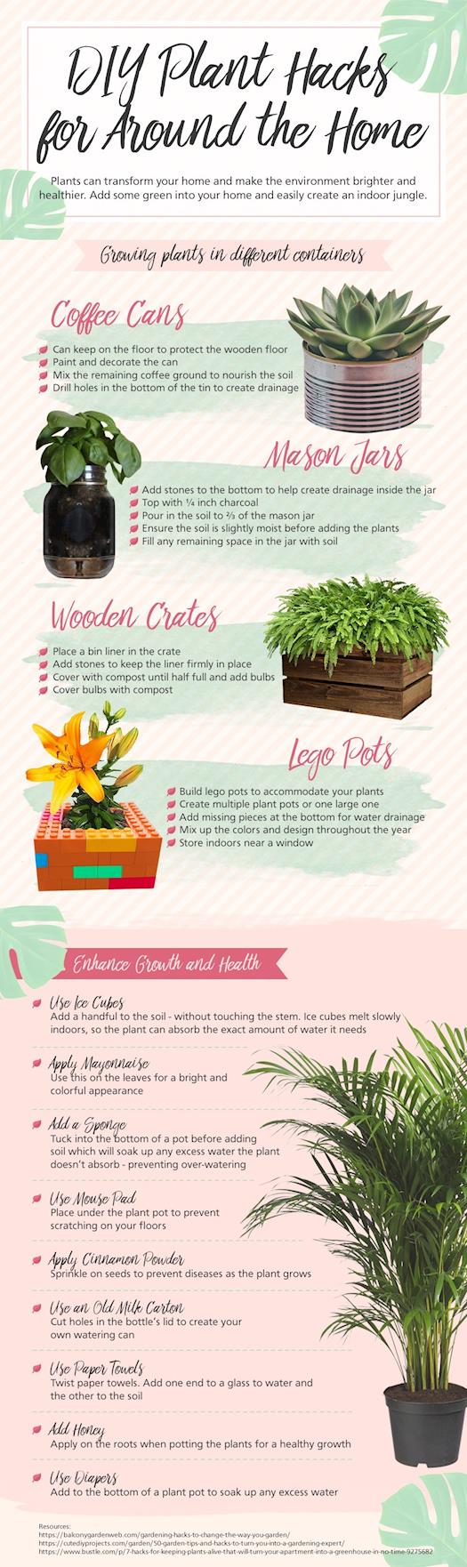 DIY Plant Hacks for Around the Home