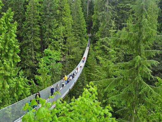 Capilano Suspension Bridge, Vancouver, Canada 