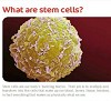  UK Baby Stem Cell Banking