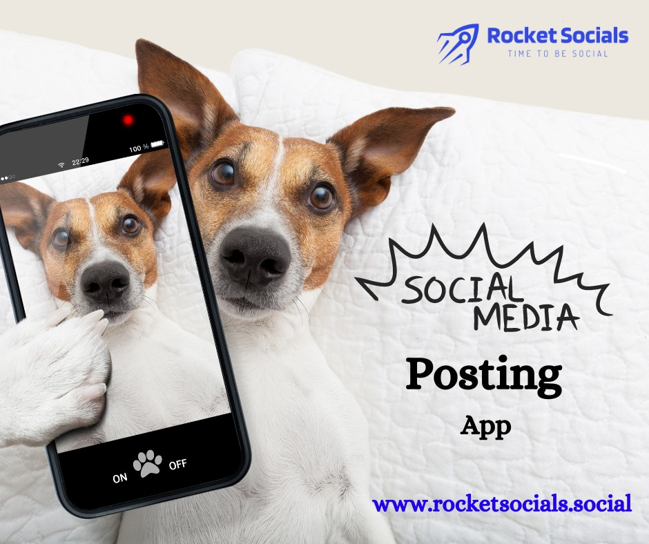 Streamline Your Social Media Strategy with a Social Media Management Platform