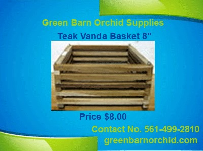 Vanda Basket for Sale Online in Florida