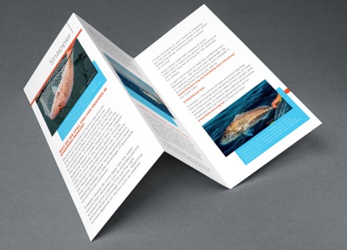 What are brochures and different types of brochures