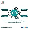 ExpressionEngine Web Design Development Service