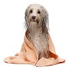 Dog wash