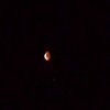 Here's a pic of the first of the four blood moons.