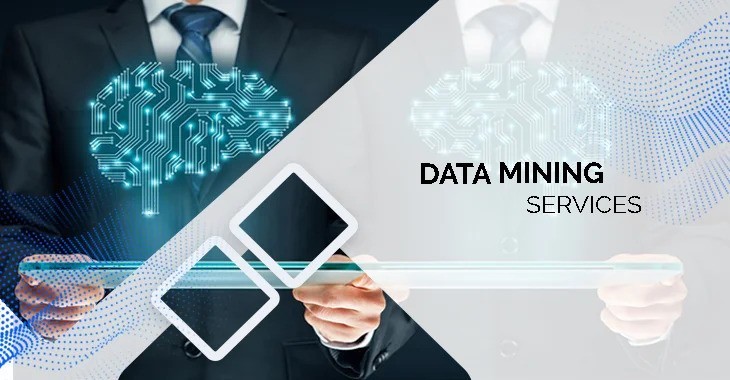 Data Mining at Data Plus Value Web Services