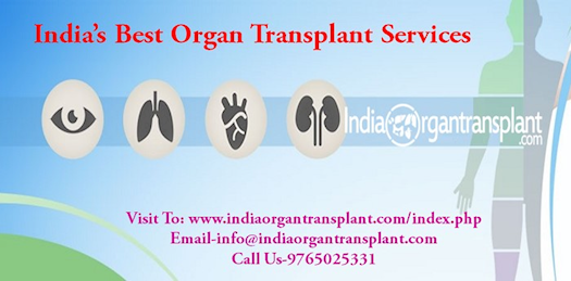 India’s Best Organ Transplant Services
