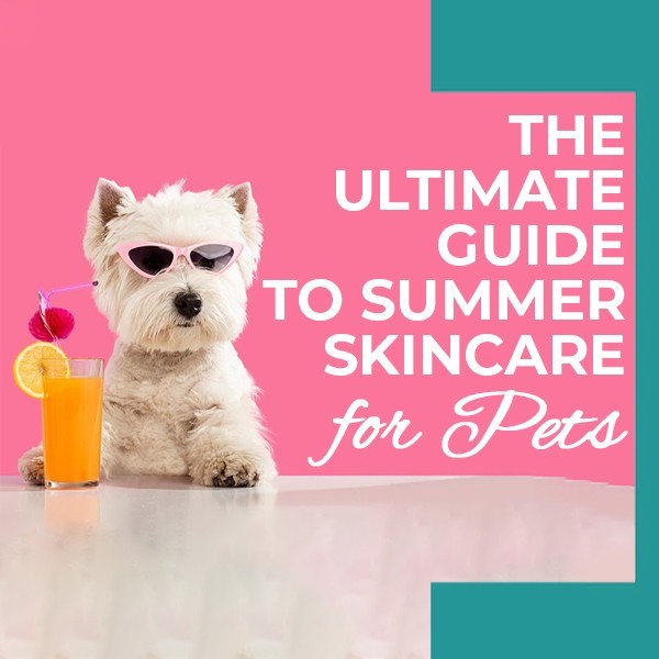 Expert Tips for Keeping Your Pet's Skin Healthy During Summer!