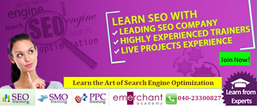 SEO Training Hyderabad -  Learn With Experts