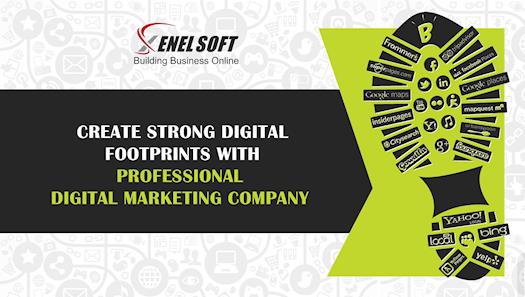 Professional Digital Marketing Company India
