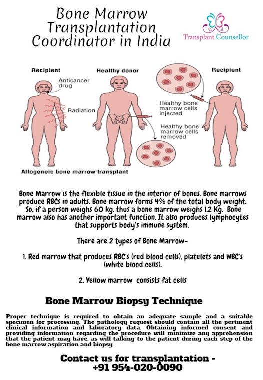  Bone Marrow Transplantation Coordinator