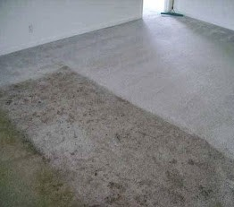 Carpet cleaning 