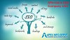 Best Affordable SEO Company USA | Apex Info Serve