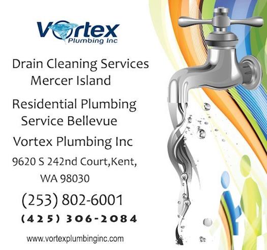 Drain Cleaning Service Mercer Island