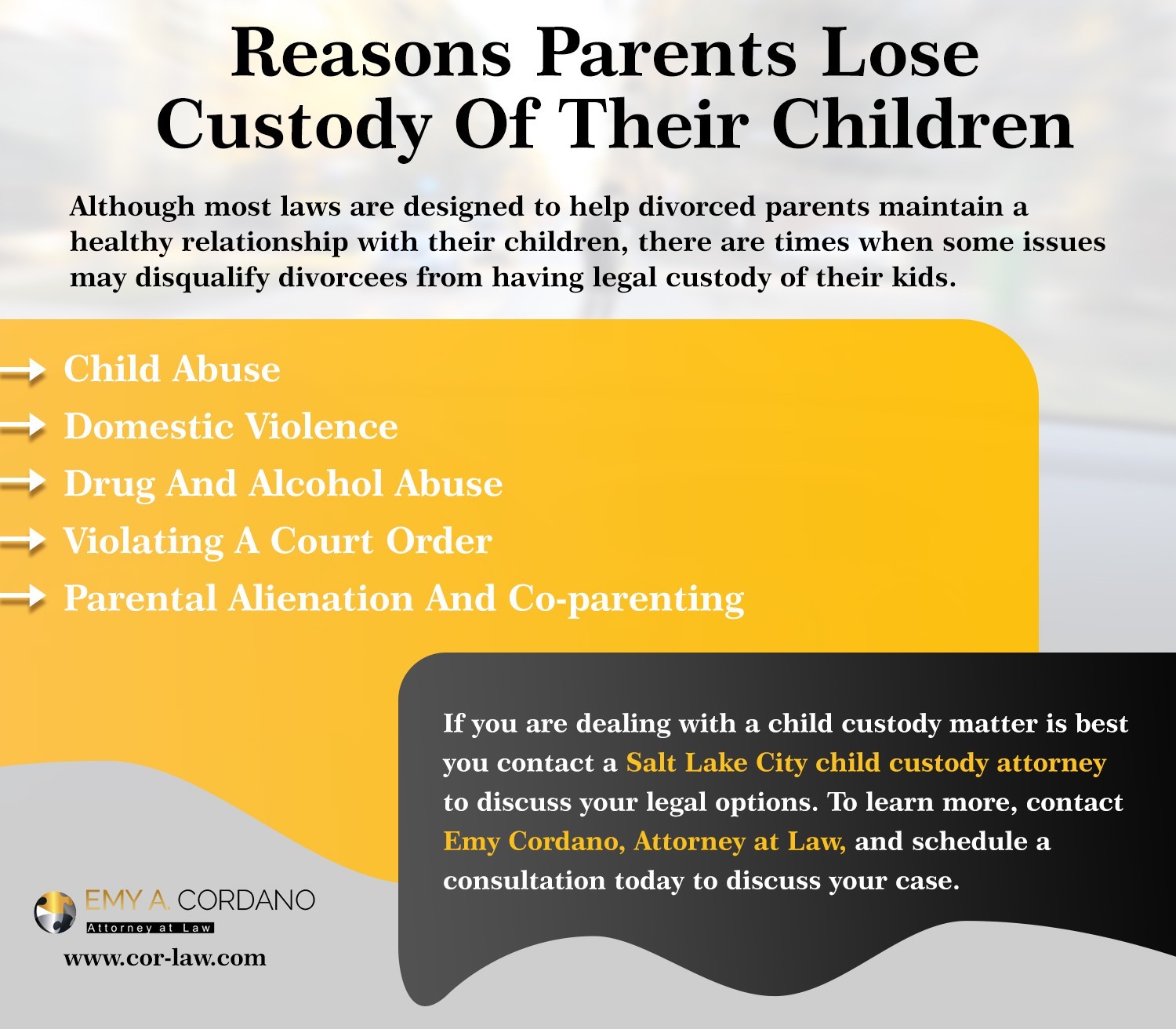 Reasons Parents Lose Custody Of Their Children