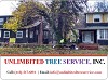 Tree Service Annapolis - Professional, Expert, Tree Removal Company  
