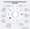 Top 10 Similarities Between Blink and Ring.