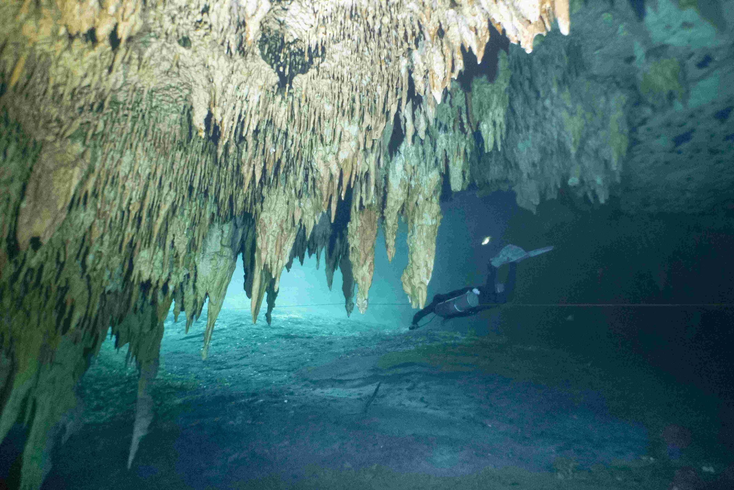 Scuba cancun dreamgates cenote