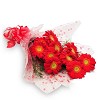Red Gorgeous Flowers By Florist Xpress