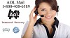 AOL Technical Support 1-800-408-6389