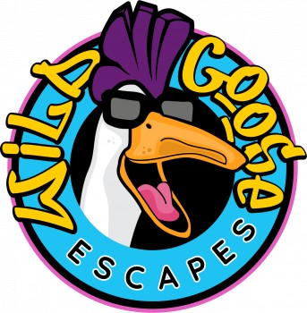 Wild Goose Escape Rooms
