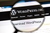 WordPress CMS Web Developer in US