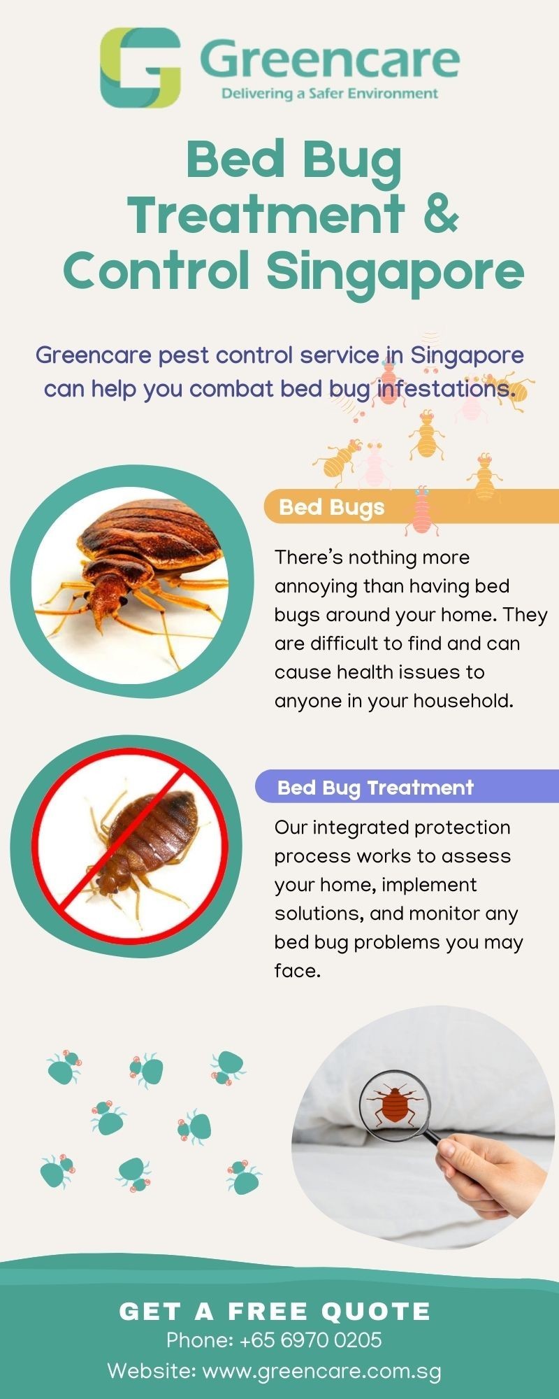 Bed Bug Treatment & Control Singapore – Greencare