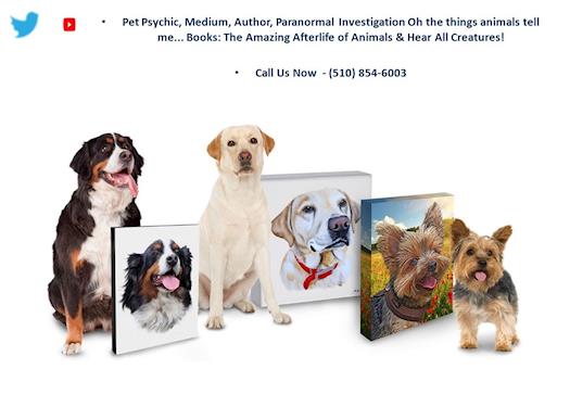 Animal Communication Tips, Pet Psychic Courses
