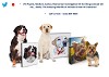 Animal Communication Tips, Pet Psychic Courses