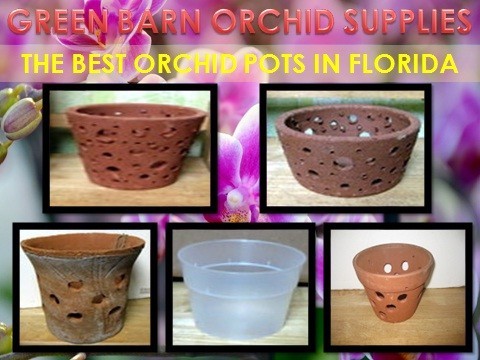 Attractive Designed Orchid Pots for your Orchids