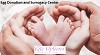 Egg Donation and Surrogacy Center