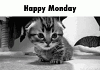Best Happy Monday Gif To Share