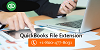 What are the various QuickBooks file extension?