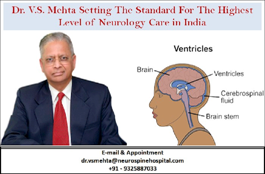 Dr. V.S. Mehta Setting The Standard For The Highest Level of Neurology Care in India