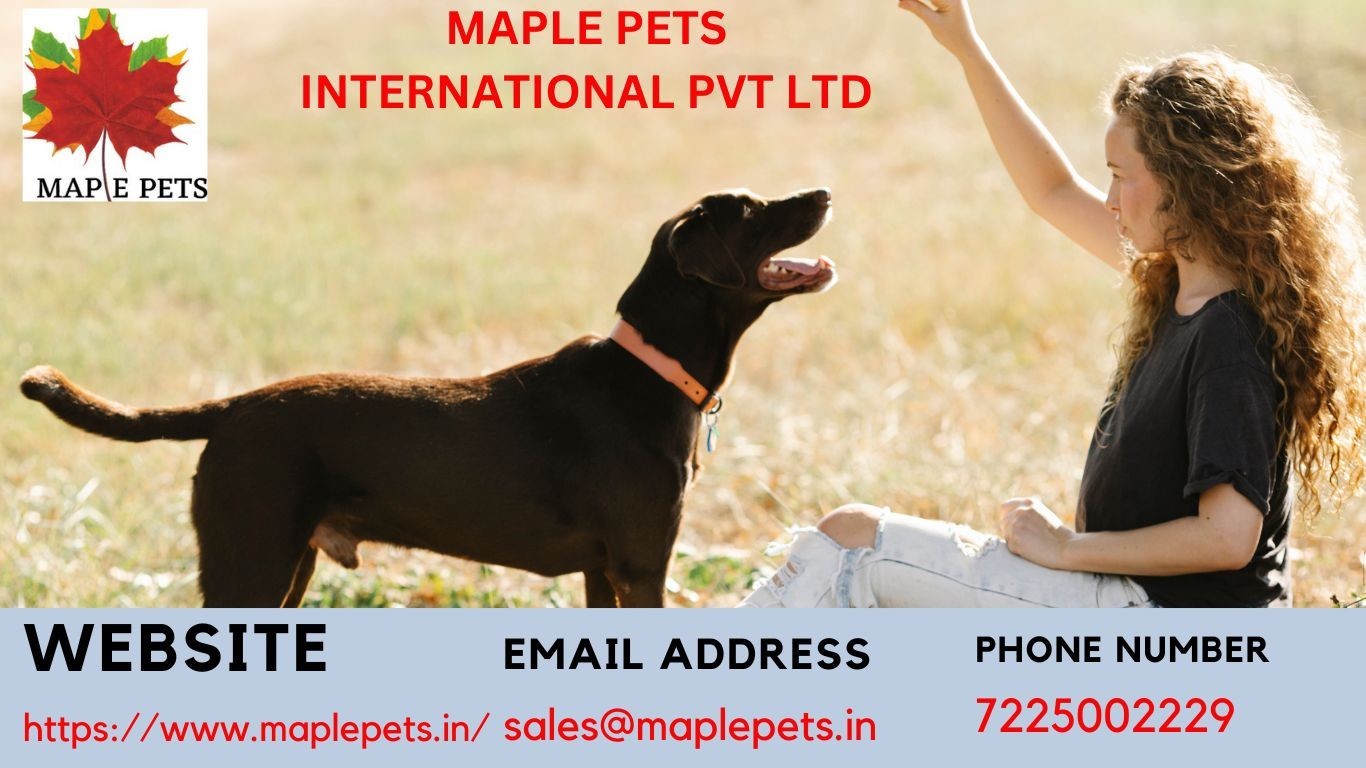 Maple Pets International Pvt Ltd