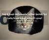 Top 5 Best Automatic Litter Boxes for Cats that Your Cat Will Love!