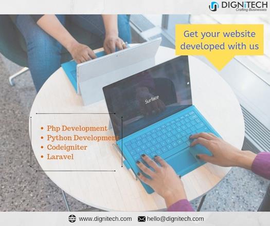 Web development company in Noida | Dignitech
